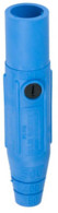 Blue Male Mini Cam